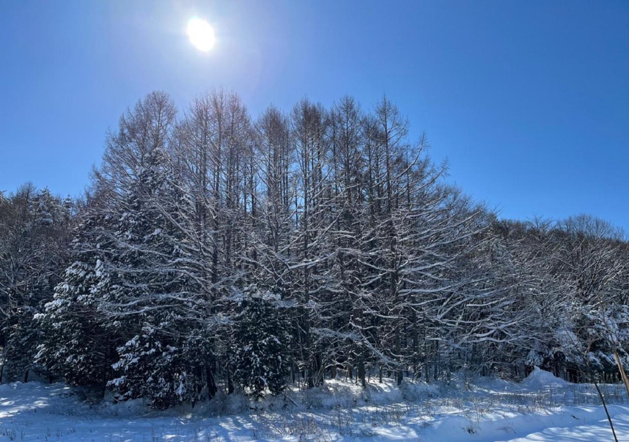 月ノ森 -Moon Forest- Fujikawaguchiko Exterior photo